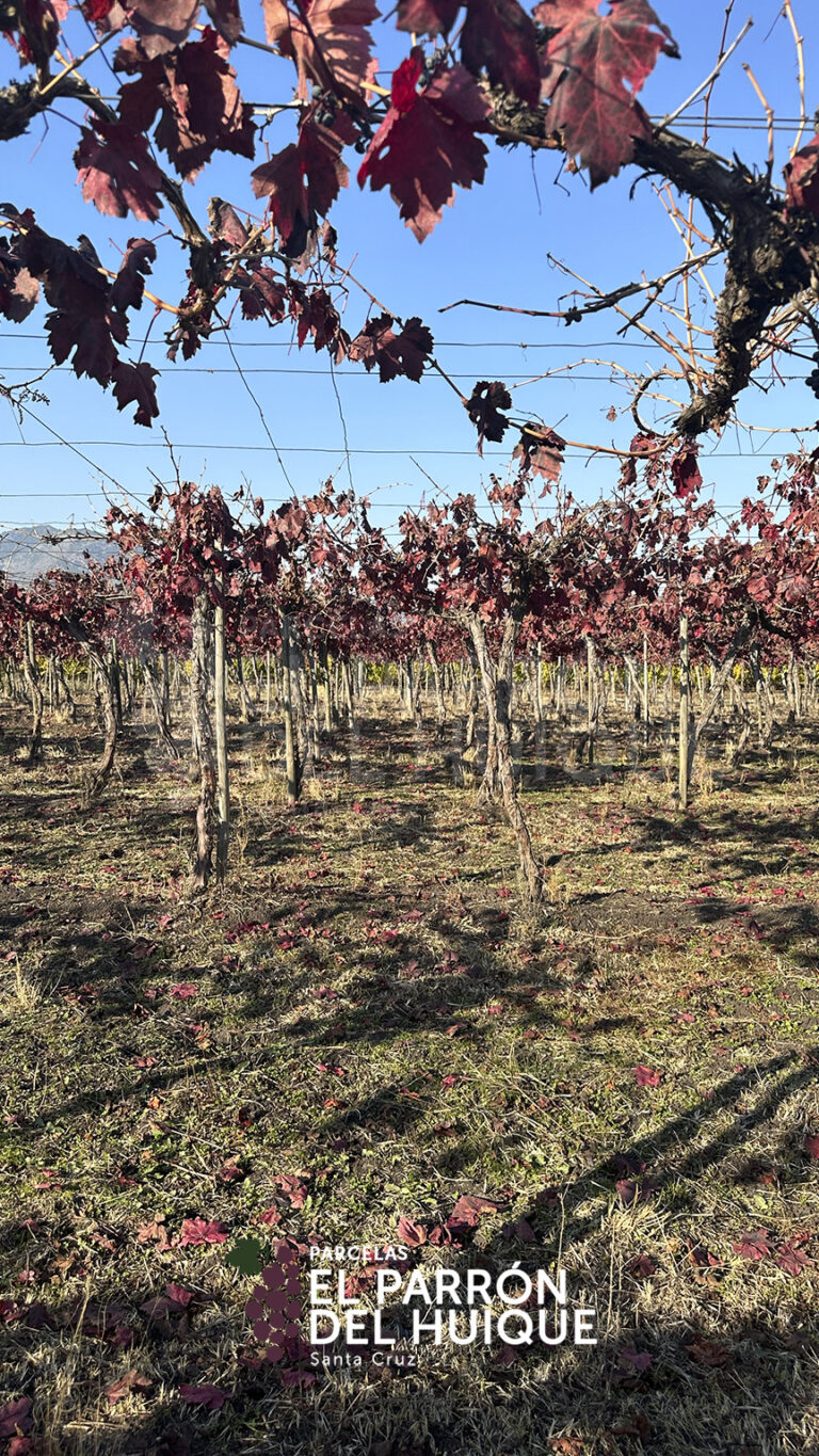 864x1536_galery_epdh-1-1