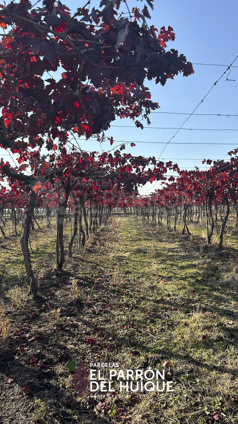 864x1536_galery_epdh-1-2