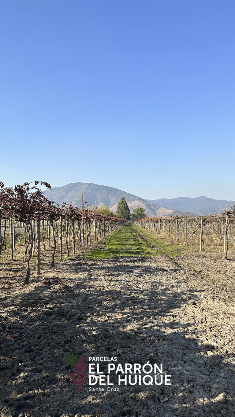 864x1536_galery_epdh-1-3