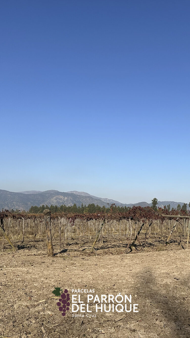 864x1536_galery_epdh-1-6