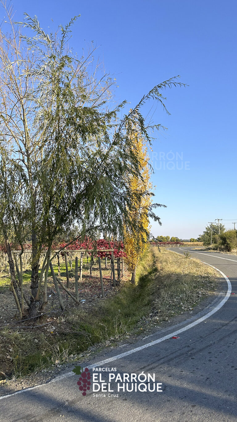 864x1536_galery_epdh-2-4