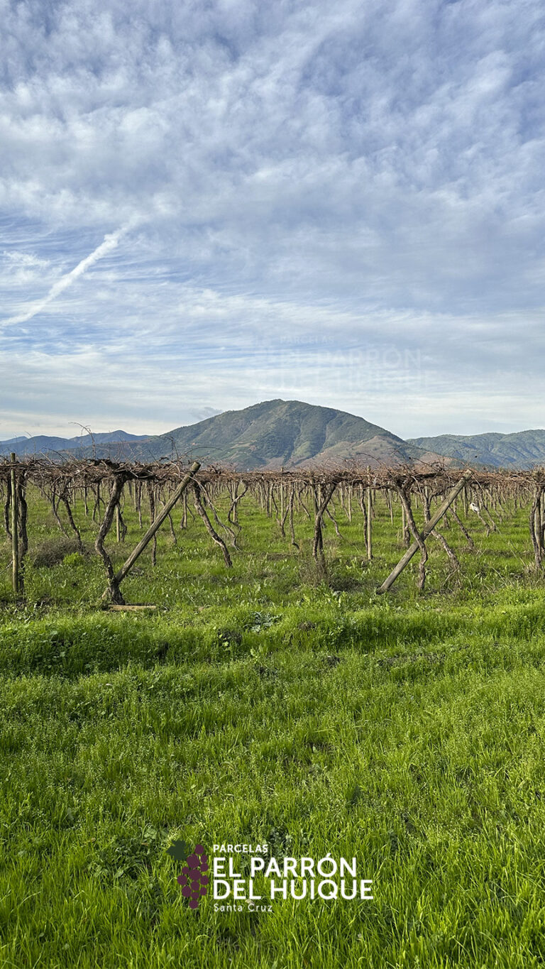 864x1536_galery_epdh-2-5