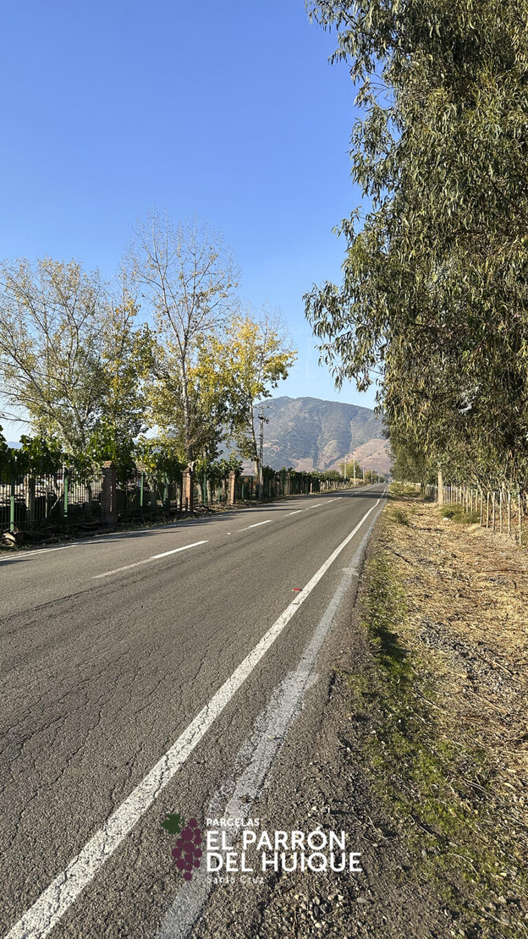 864x1536_galery_epdh-2-6