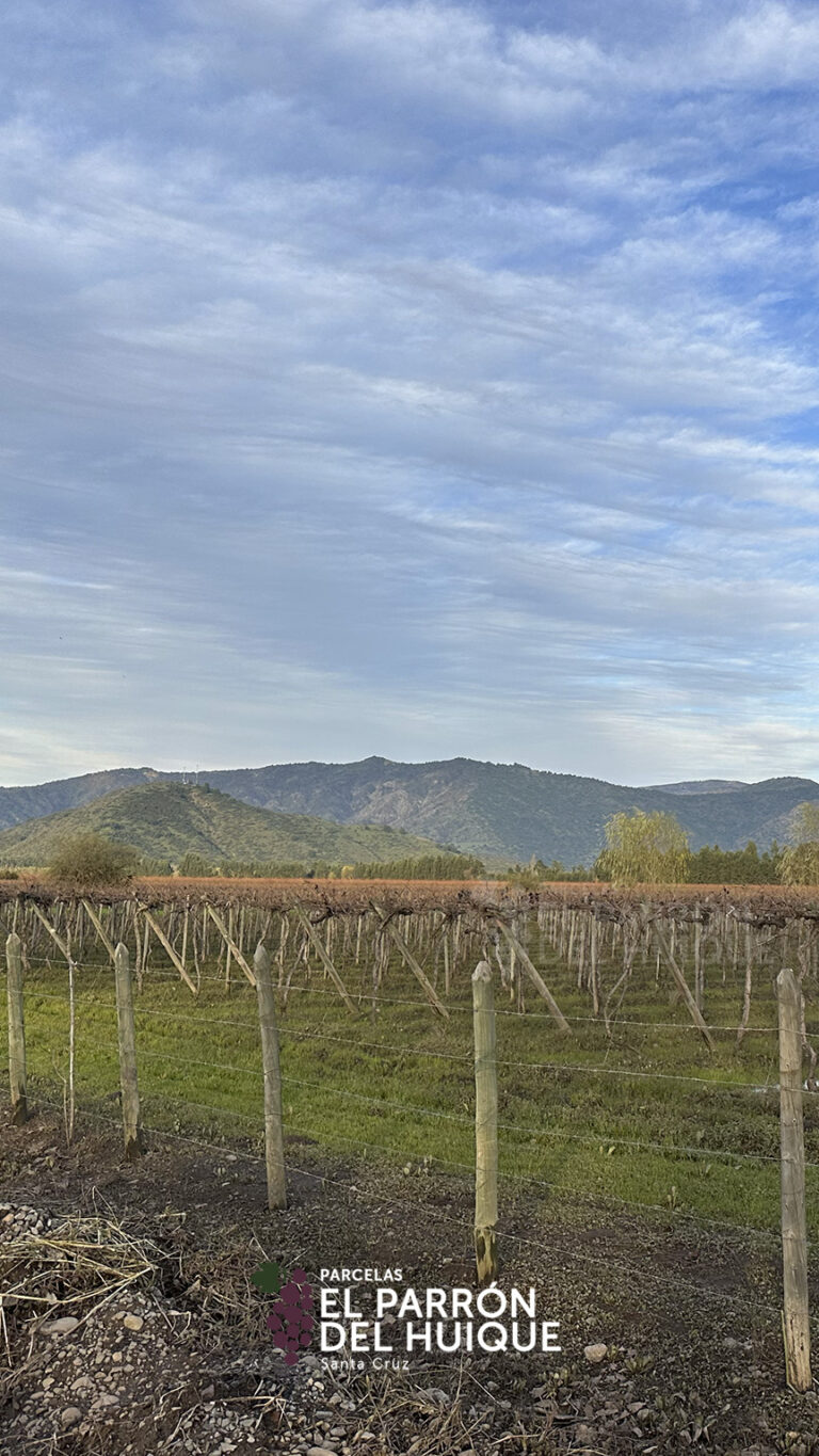 864x1536_galery_epdh-2-8