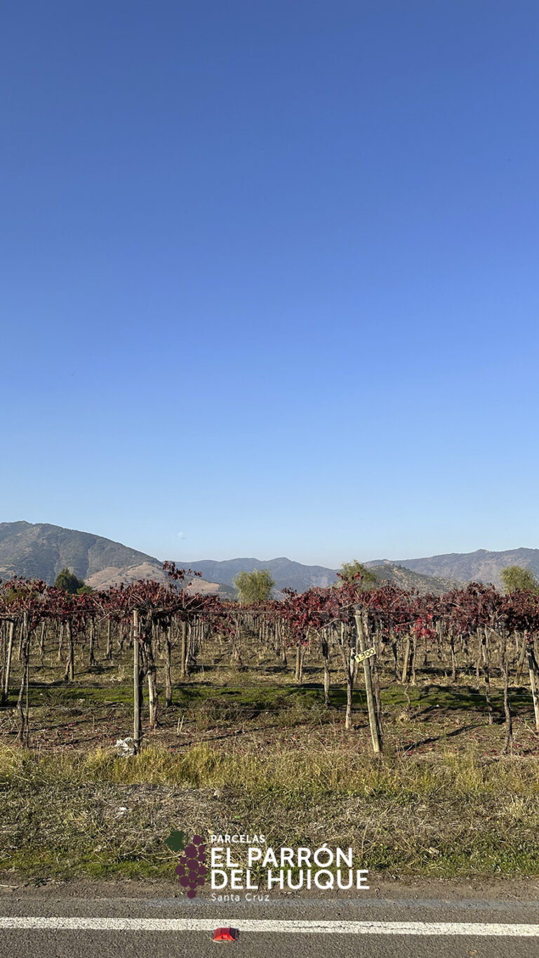 864x1536_galery_epdh-2-9