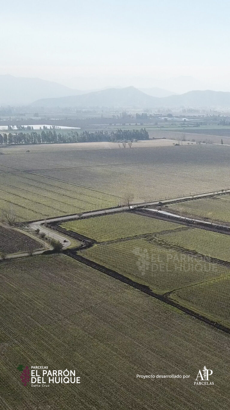 864x1536_mobile_galery_epdh-5-13