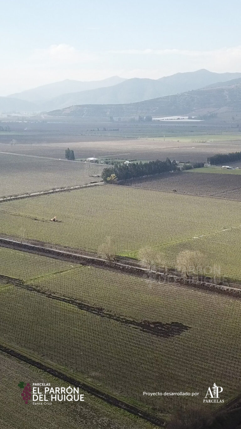 864x1536_mobile_galery_epdh-5-14