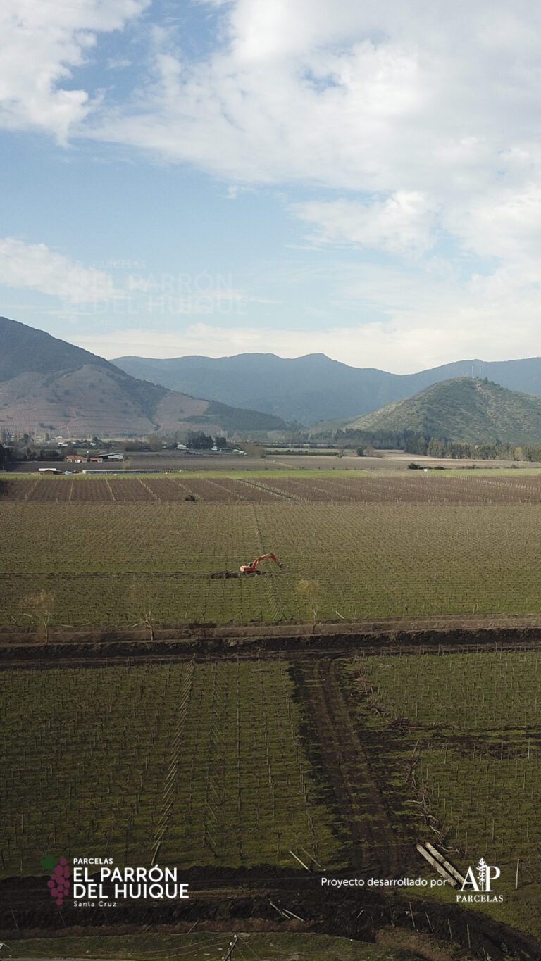 864x1536_mobile_galery_epdh-5-16