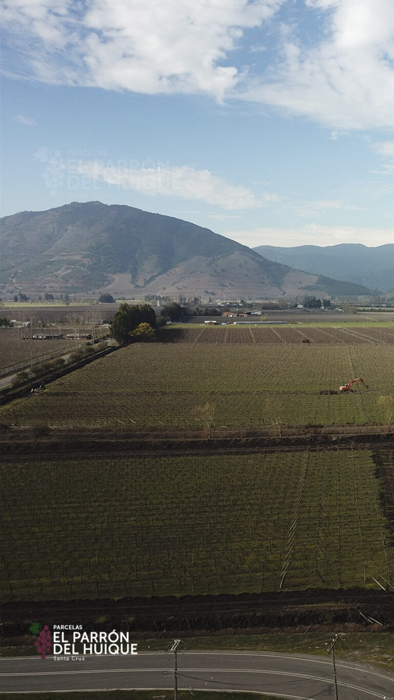 864x1536_mobile_galery_epdh-5-21