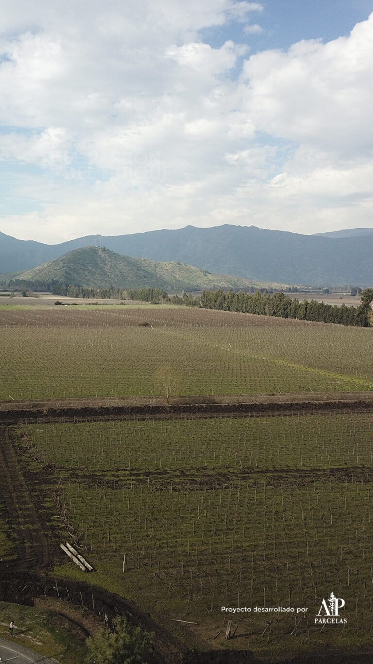 864x1536_mobile_galery_epdh-5-22