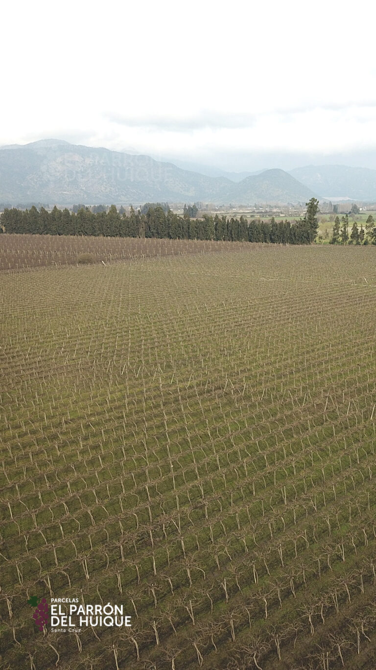 864x1536_mobile_galery_epdh-5-23