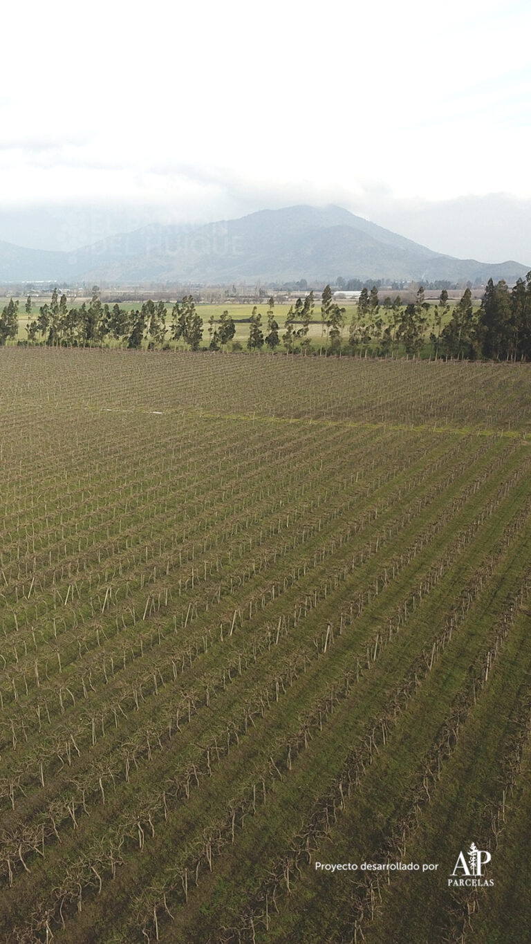 864x1536_mobile_galery_epdh-5-24